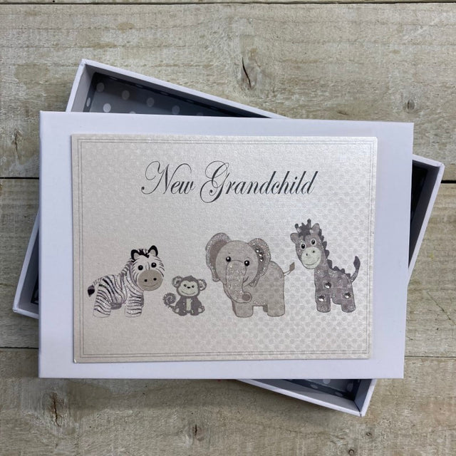 New Grandchild Boasting Book - Silver Toys