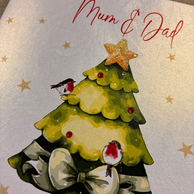 Mum & Dad Christmas Card