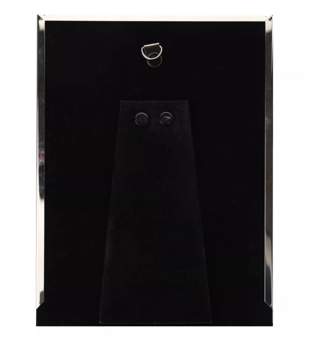 Blue Mount 4' x 6' Photo Frame with Teddy