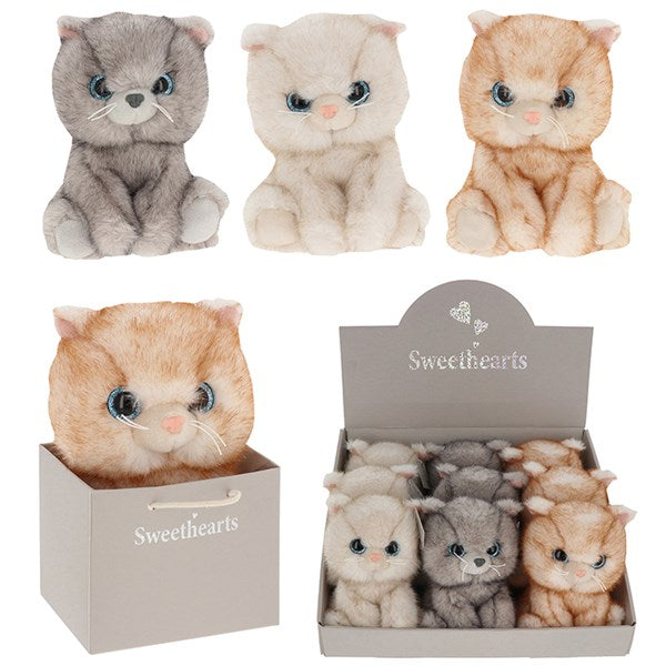 Sweetheart Kittens in Bag