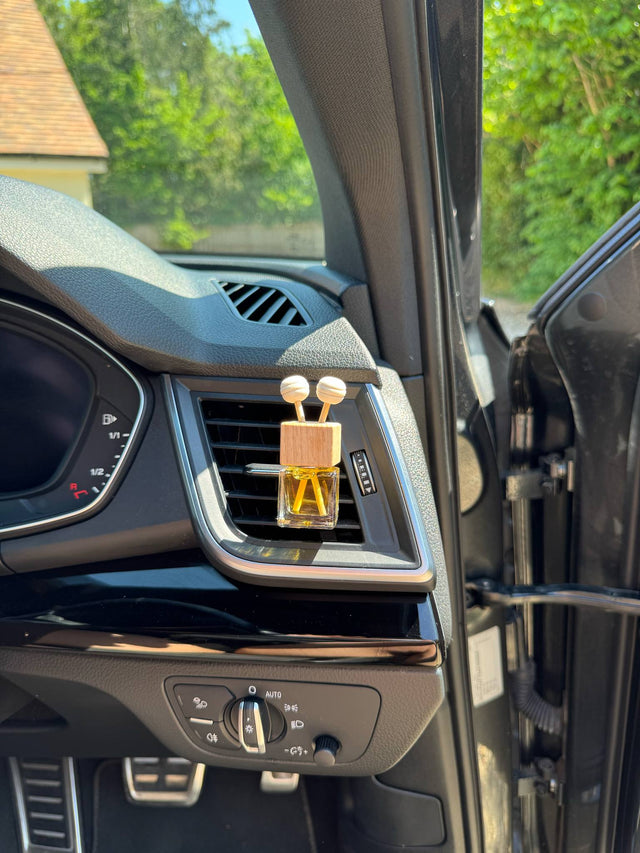 Luxury car fragranced diffuser - Citrus & Spice