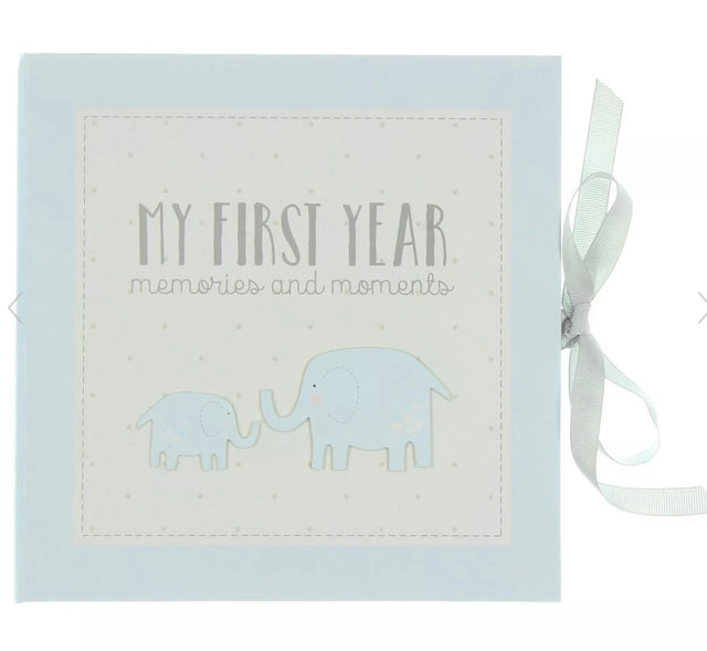 Baby Record Book - Blue