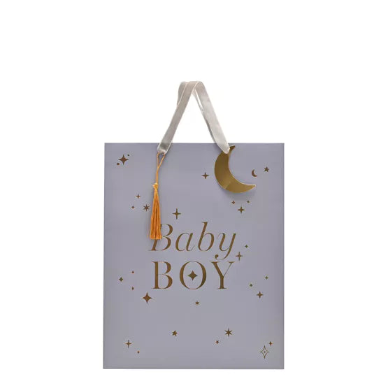 Baby Boy Gift Bag - Large