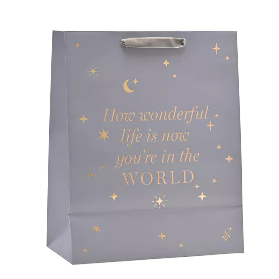 Baby Boy Gift Bag - Large