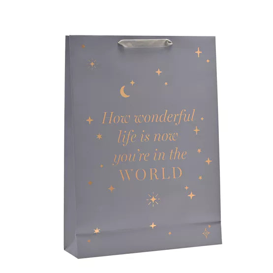 Baby Boy Gift Bag Extra - Large