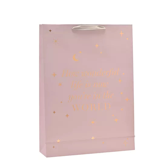 Baby Girl Gift Bag - Extra Large