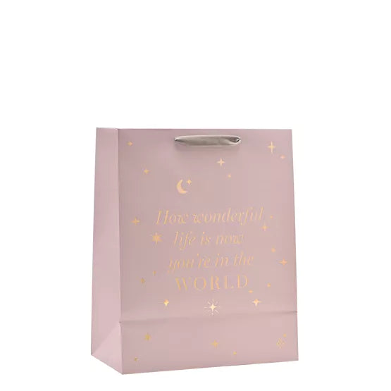 Baby Girl Gift Bag - Large