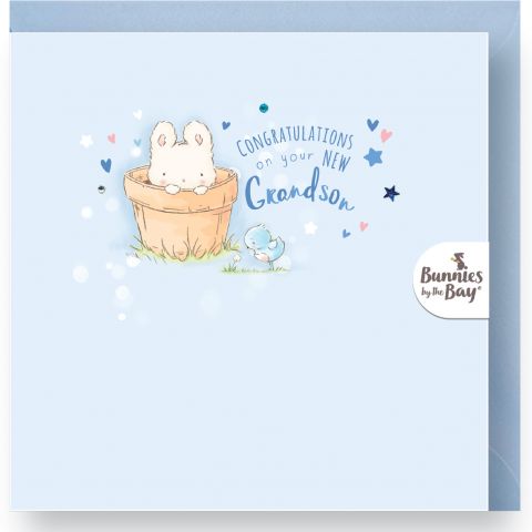 New Grandson Card - Flower Pot Bunny