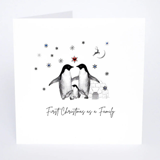 First Christmas as a Family Card