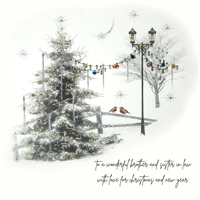 Brother & Sister-in-Law Christmas Card