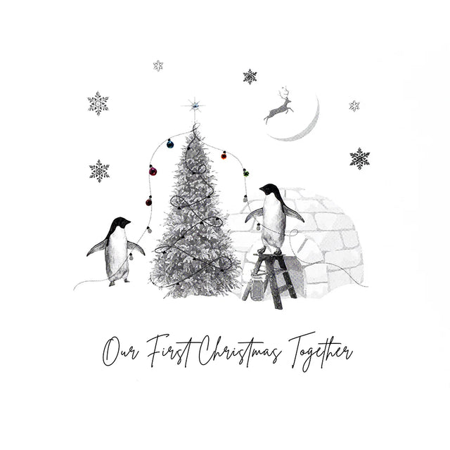 Our First Christmas Together Card