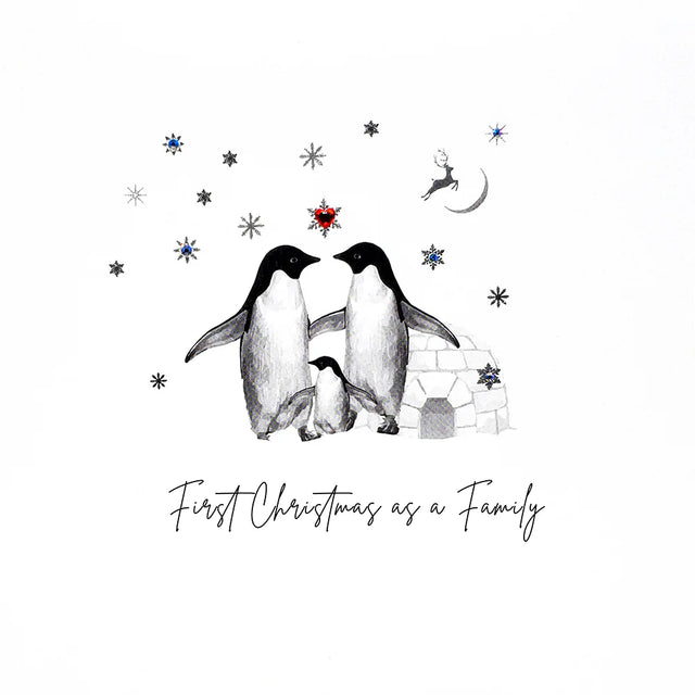 First Christmas as a Family Card