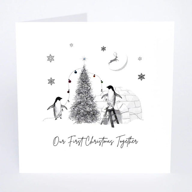 Our First Christmas Together Card