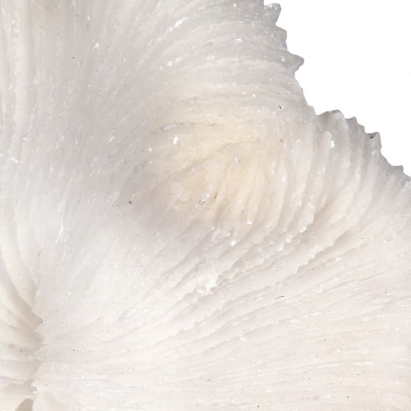 Faux Coral on Marble Base