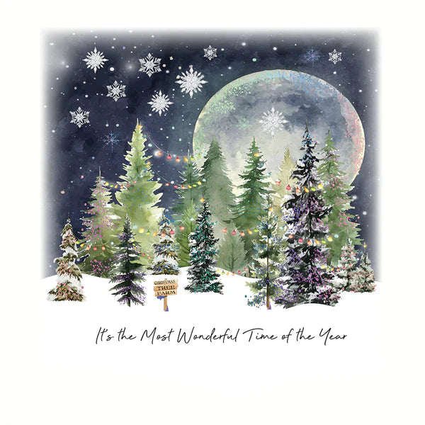 Most Wonderful Time Box of 6 Christmas Cards