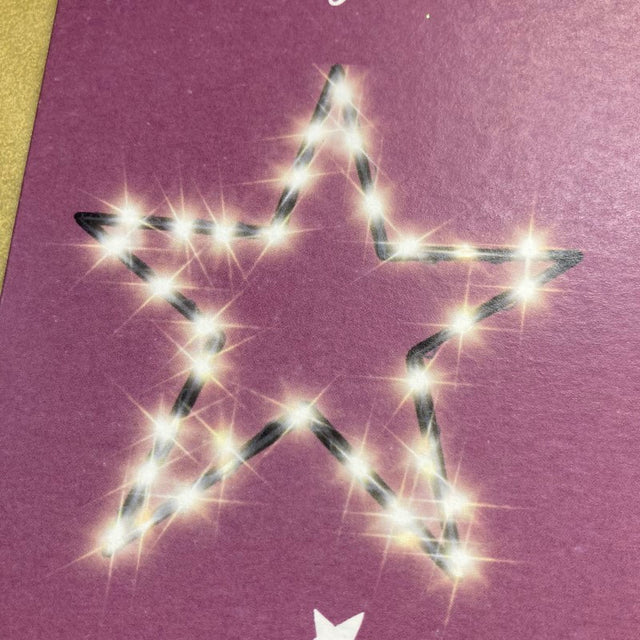 Fairy Light Pink Money Wallet