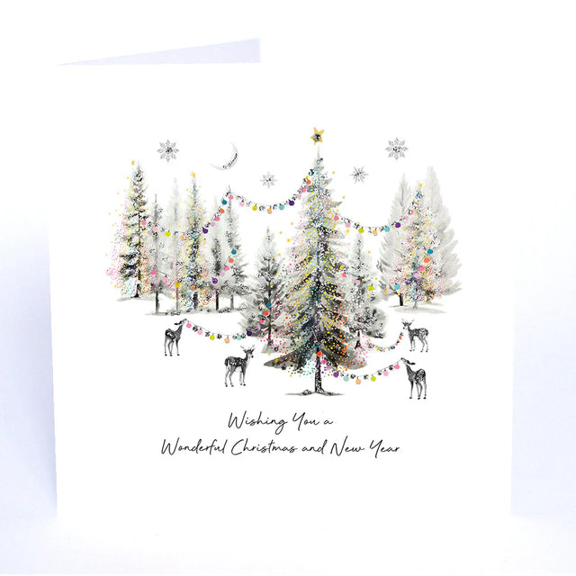 Wishing you a Wonderful Christmas and New Year Card