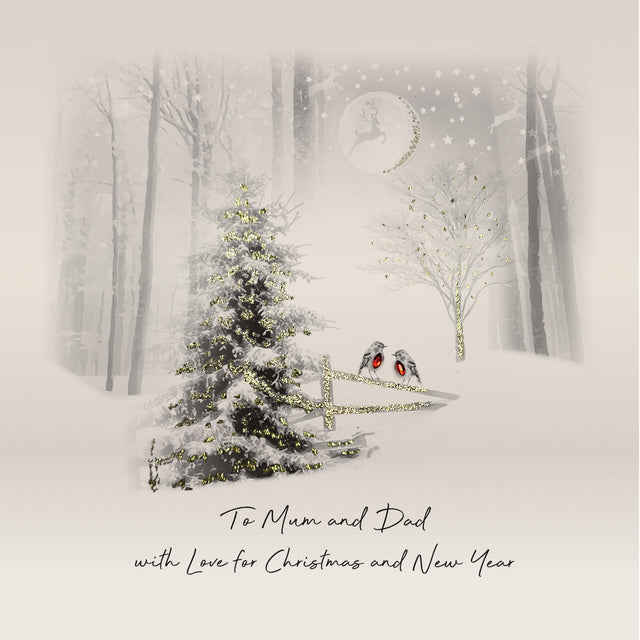 Mum and Dad Robins Christmas Card