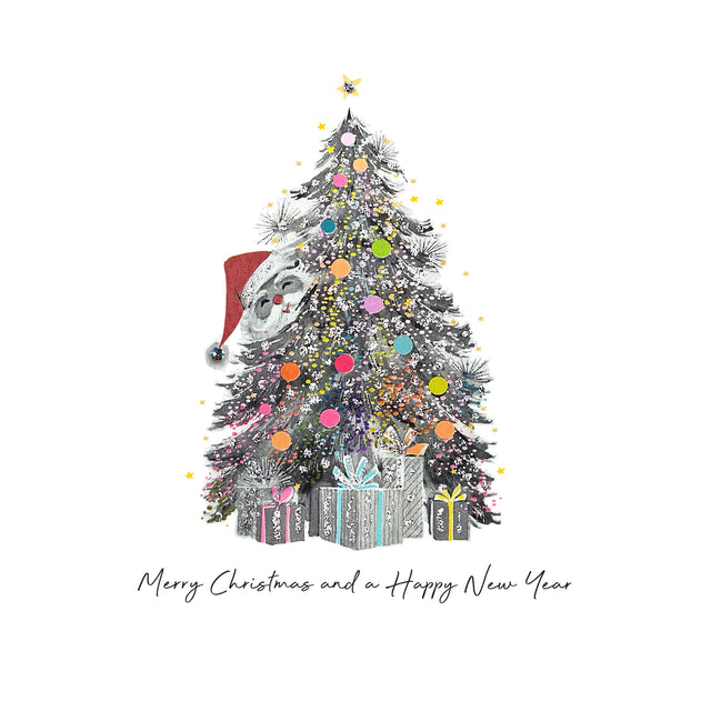 Merry Christmas and Happy New Year Card
