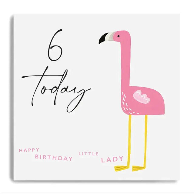 6 Today Birthday Card - Flamingo