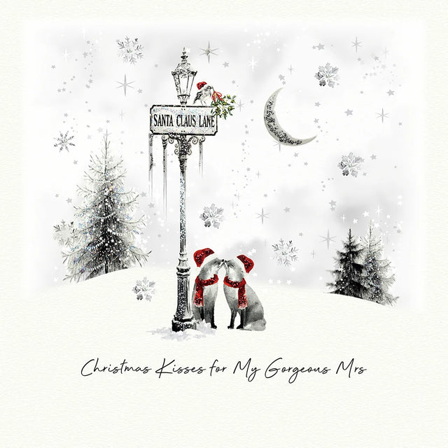 Christmas Kisses For My Gorgeous Mrs Card