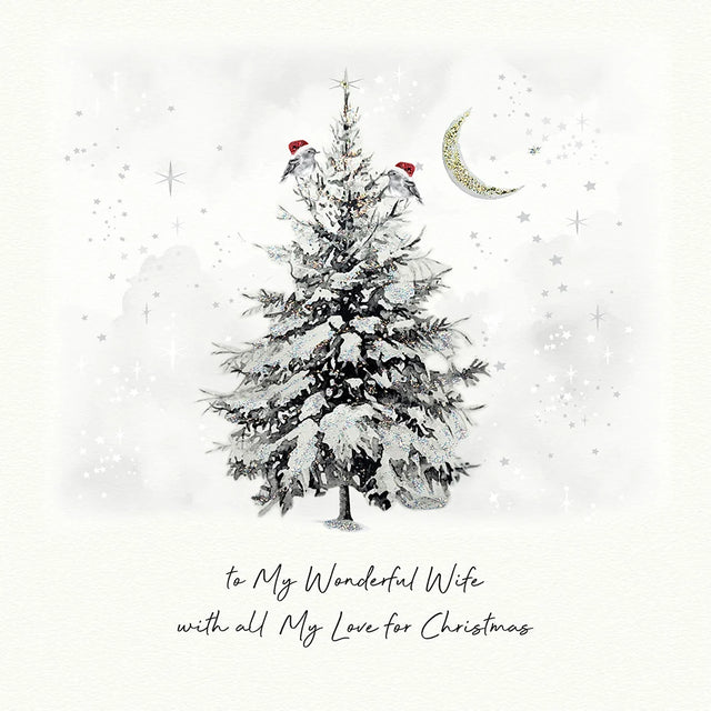 To My Wonderful Wife With All My Love For Christmas Card