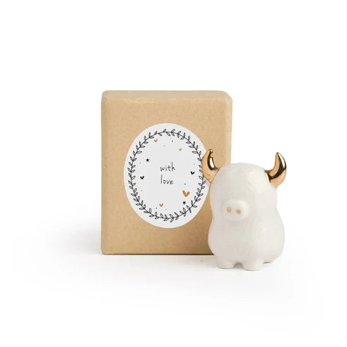 Highland Cow In A Box