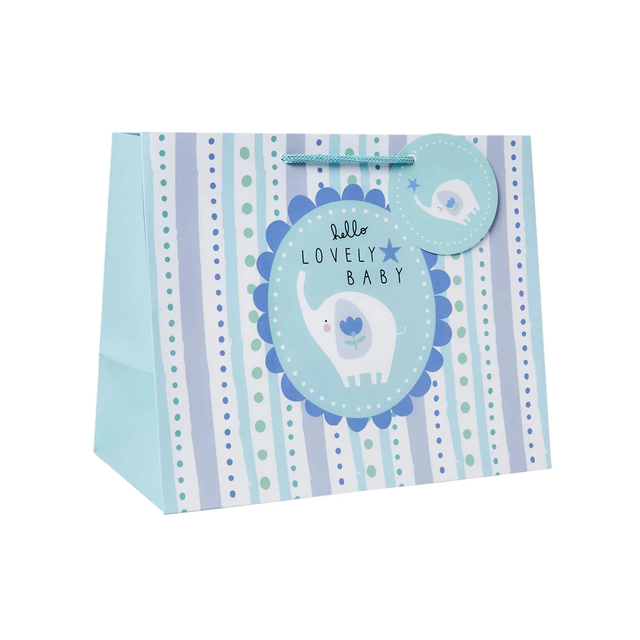 Lovely Baby Blue Tote Gift Bag