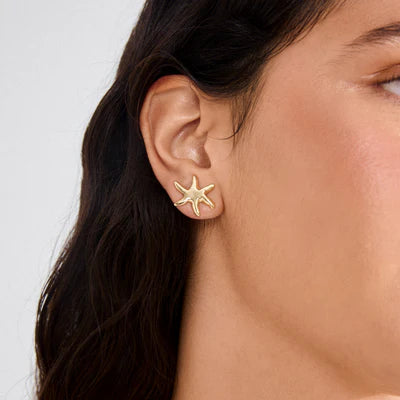 Pilgrim Prism Gold Earrings