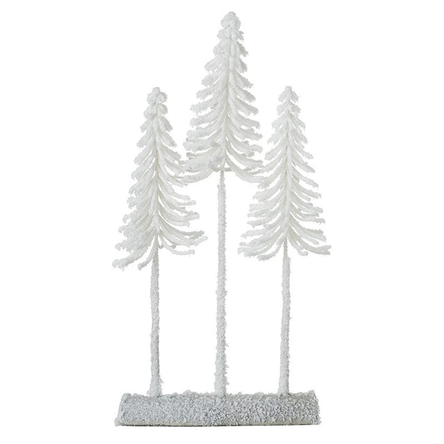 Tall White Fir Trees