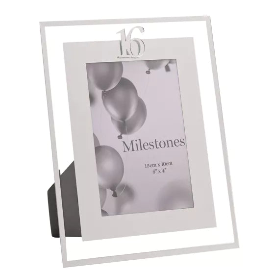 16th Birthday 4' x 6' Mirror Photo Frame