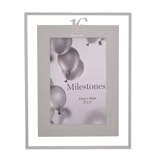 16th Birthday 4' x 6' Mirror Photo Frame