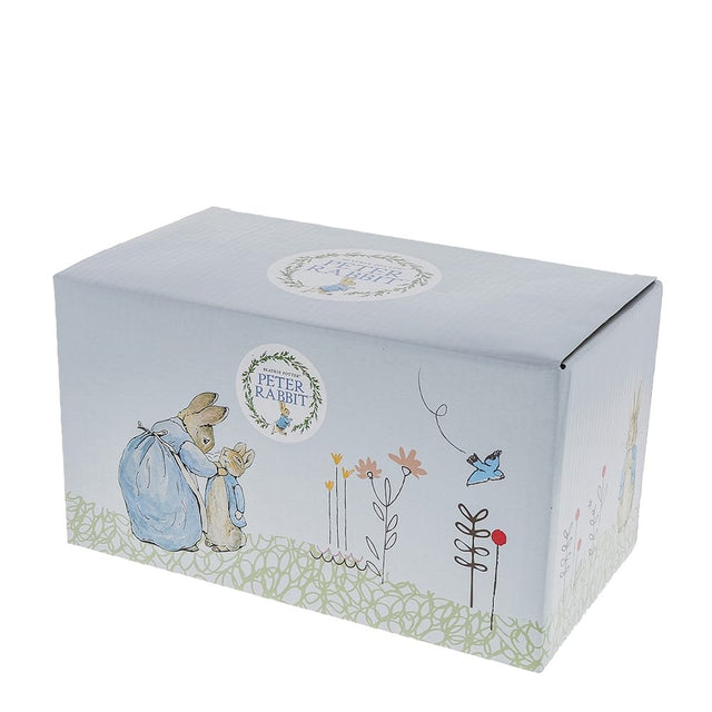 Beatrix Potter Peter Rabbit Money Bank
