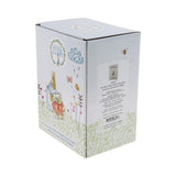 Beatrix Potter The Tale Of Peter Rabbit Money Bank