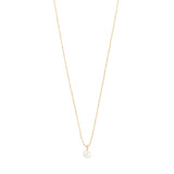 Pilgrim Hadley Necklace - Gold