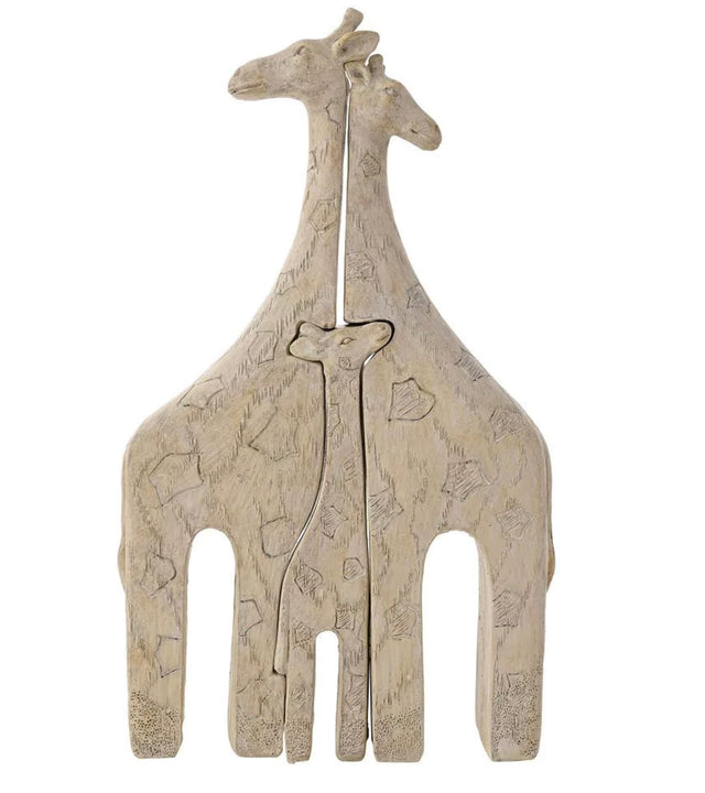 Family of Giraffes