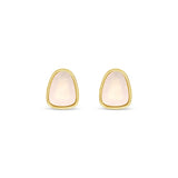 Earrings - Gold Oyster Stud