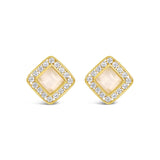 Earrings - Gold Oyster Square