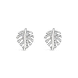 Earrings - Silver Leaf
