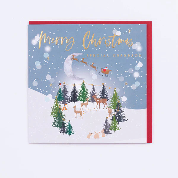 Belly Button Giftware Grandson Christmas Card