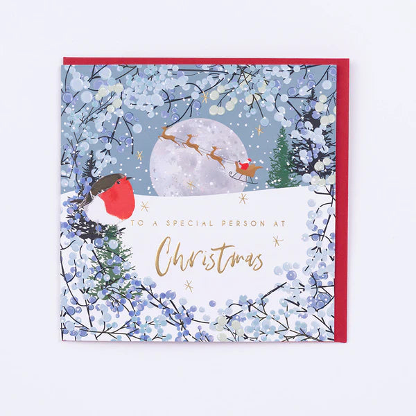 Belly Button Giftware Special Person Christmas Card