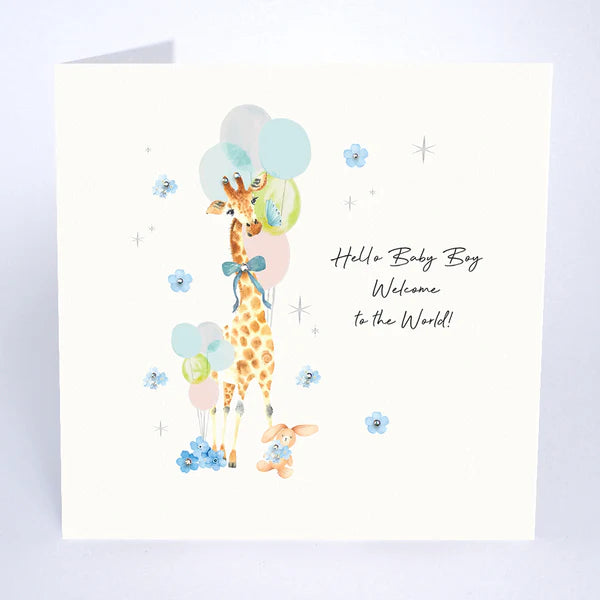 Hello Baby Boy Welcome To The World