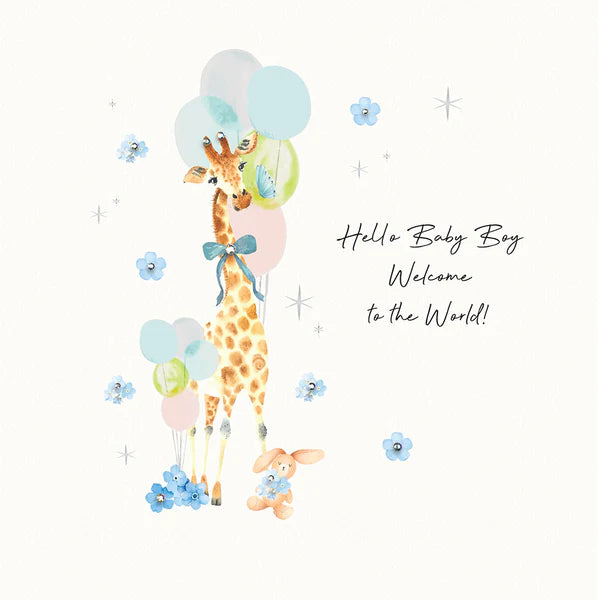 Hello Baby Boy Welcome To The World