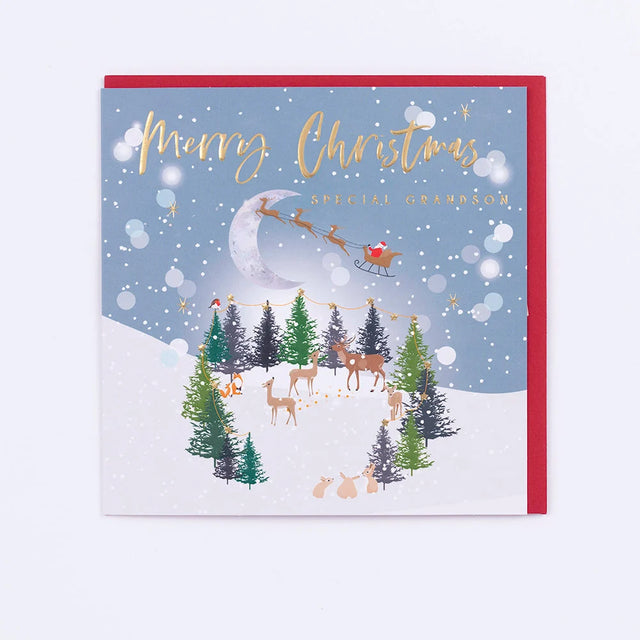 Grandson Christmas Card