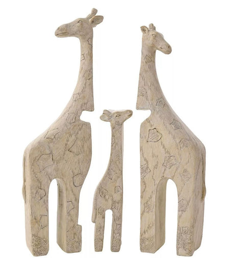 Family of Giraffes