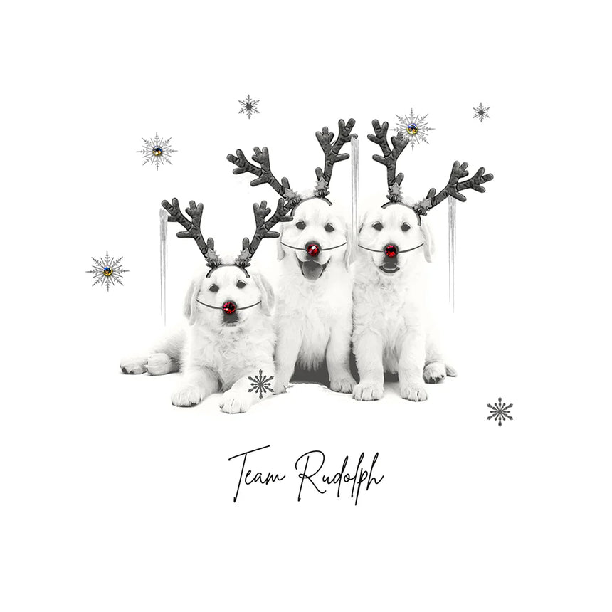 Five Dollar Shake Team Rudolph Christmas Card