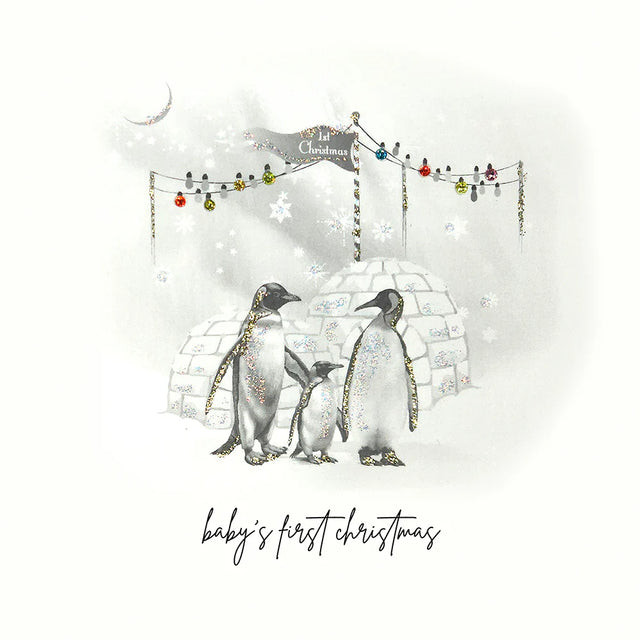 Baby's First Christmas Card