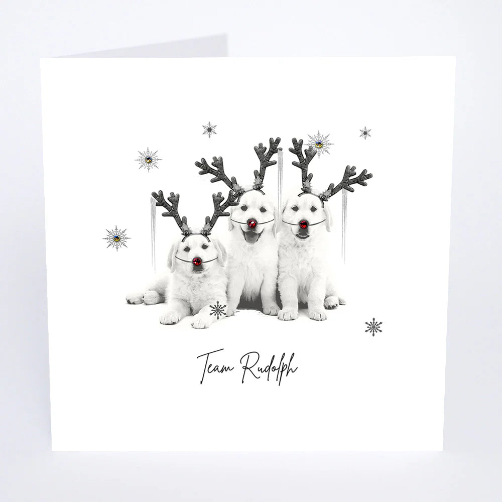 Five Dollar Shake Team Rudolph Christmas Card