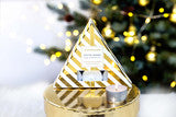Stoneglow Seasonal - Festive Wishes - Orange, Cinnamon & Clove Scented Tealight (Triangle)