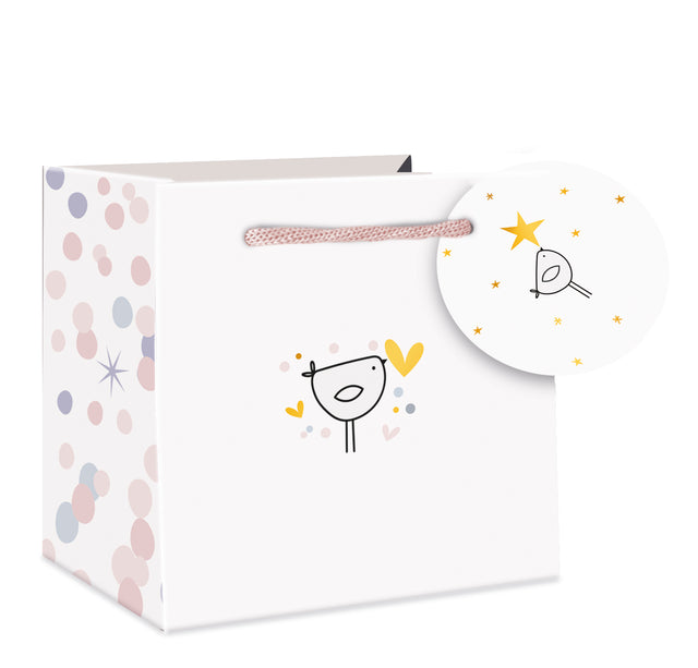 BB Robin Mug Gift Bag